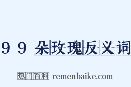 99朵玫瑰反义词是什么意思的图片